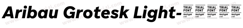 Aribau Grotesk Light字体转换